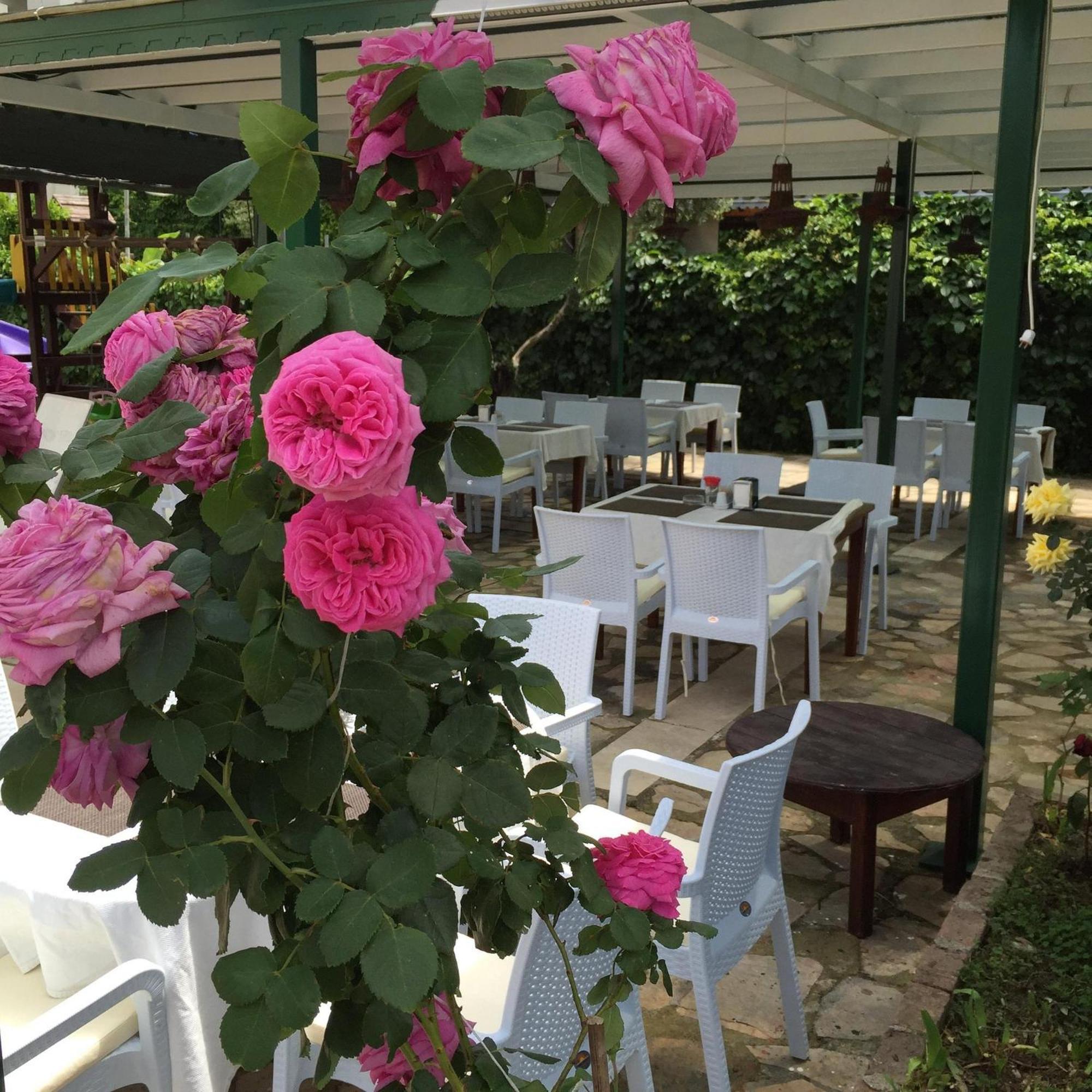 Linda Apart Hotel Side Dış mekan fotoğraf